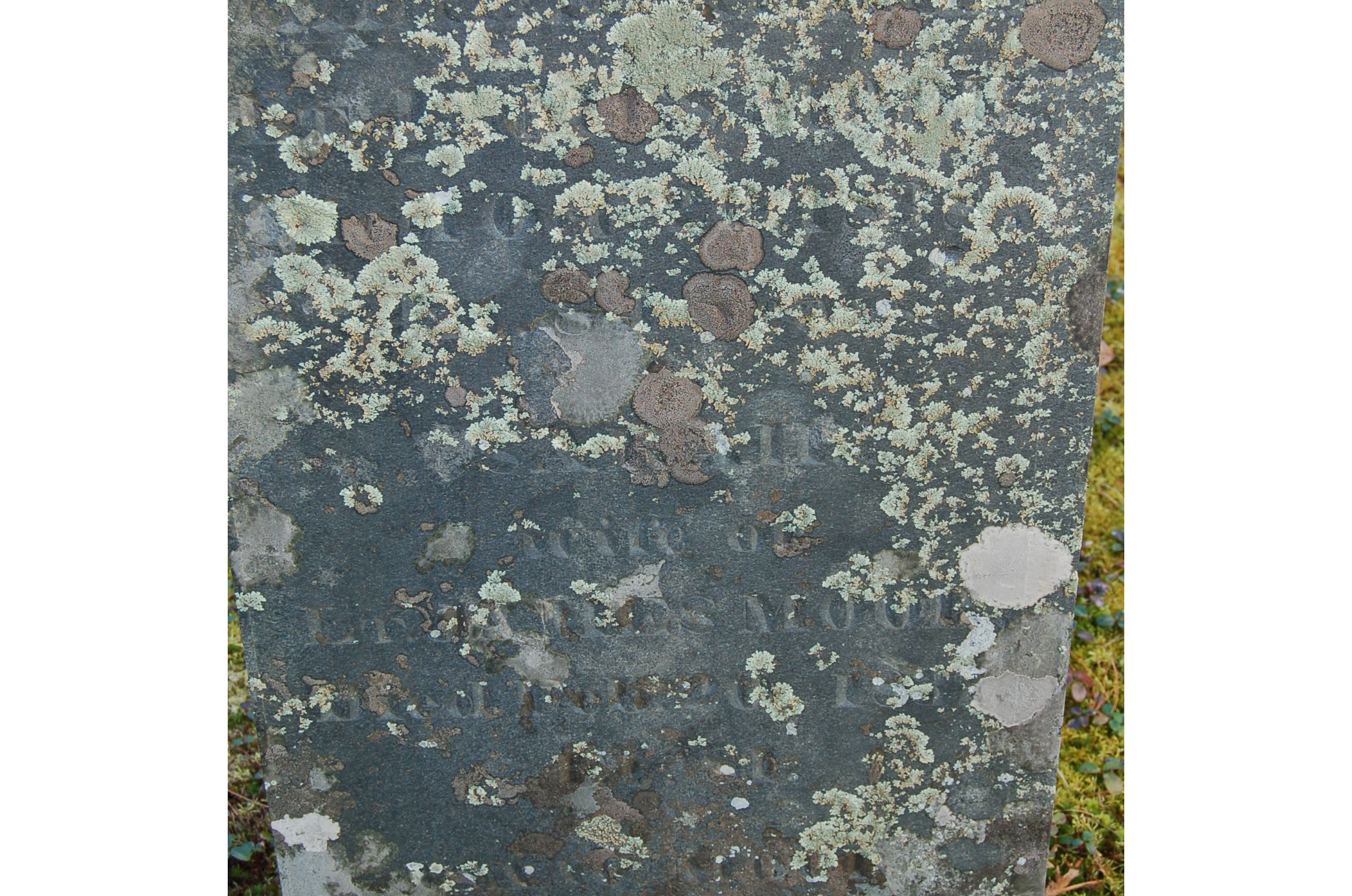 Gravestone